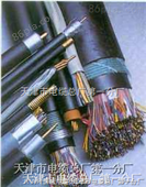 RS485电缆，RS485天津电缆,RS485屏蔽信号电缆，矿用通讯电缆MHYVP 7×2×1  控制电缆  传输电缆  煤矿电缆