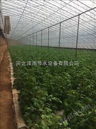 大冶市专业滴灌管生产厂家湖北省大棚蔬菜滴灌管批发